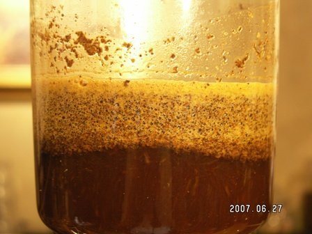 虹吸壶煮咖啡:一杯两瓢粉的搅拌后吸水排气的状态