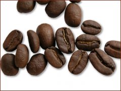 精品咖啡种类介绍 蓝山咖啡豆图片