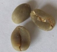 GAYO曼特宁和普通曼特宁有什么区别？印尼亚齐Gayo山脉咖啡豆风味介绍