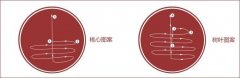 咖啡拉花桃心与树叶怎么拉？掌握五个步骤和两种基本图案手法