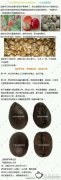认识咖啡豆 目前咖啡至少有66个品种