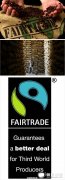 精品咖啡组织 公平贸易(Fairtrade)咖啡