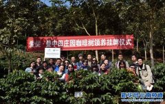 浪漫咖啡之旅 一群啡友在爱伲普洱咖啡园领养咖啡树