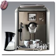 GAGGIA PLATINUM VISION 全自动咖啡机值不值得买？规格与特色一次看懂