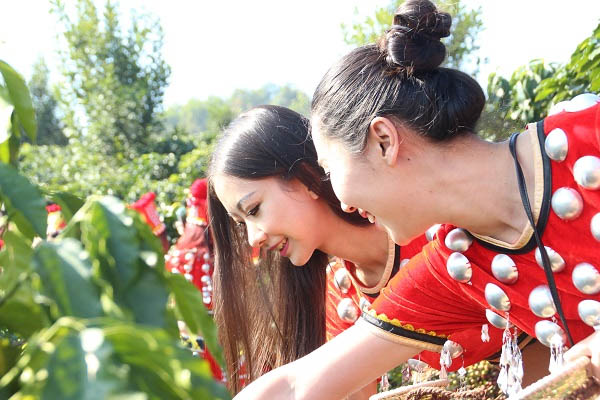 第四届中国芒市(国际)咖啡文化节隆重举办