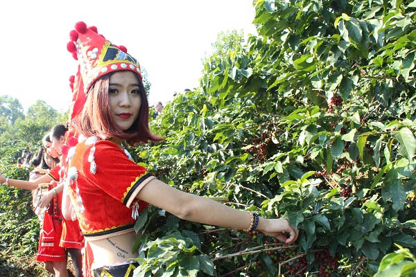第四届中国芒市(国际)咖啡文化节隆重举办