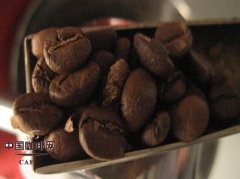 特深度烘焙咖啡豆到底好不好喝？法式、意式与各城市烘焙偏好一次看懂