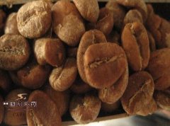 咖啡豆中度烘焙是什么？美式烘焙与城市烘焙口感区别一次讲清