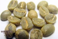 精品咖啡豆 大颗粒豆与小颗粒豆味道哪种佳?