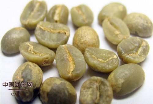 大颗粒豆与小颗粒豆,味道哪种佳