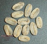 瑰夏咖啡豆为什么这么贵？埃塞俄比亚原生瑰夏与巴拿马瑰夏区别