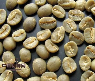 咖啡豆如何分级?