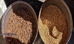 猫屎咖啡是怎么做出来的？麝香猫咖啡豆制作工艺与稀有产量对比