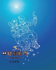 双子座 GEMIN