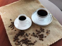 巴西咖啡为什么能诞生90%的阿拉比卡改良品种？明日咖啡计划揭秘