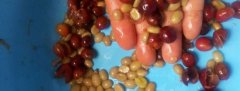 蜜处理咖啡豆是什么？和水洗、日晒处理法有什么区别