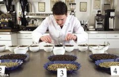 杯测怎么入门？一文看懂酸度、醇厚度与风味的评判标准