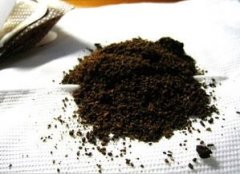 咖啡渣煮过倒掉可惜?教你煮过的咖啡渣怎么用