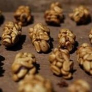 麝香猫咖啡是怎么做出来的？猫屎咖啡制作流程与风味来源解析