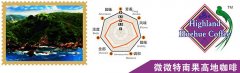 危地马拉微微特南果高地咖啡有什么特点？高海拔干燥产区的风味解析