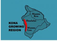 夏威夷可娜咖啡(Kona)是什么？产区、分级与风味特点一次讲清