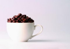 游客必到的名胜蓝波“彩虹之屋”咖啡馆