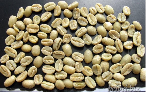 埃塞尔比亚 耶加雪啡 Ethiopia Washed Yirgacheffe 咖啡生豆