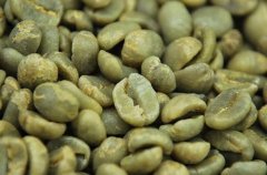 La Minita(拉米妮塔)精品庄园咖啡豆