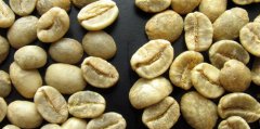 精品咖啡生豆:新豆、旧豆之分