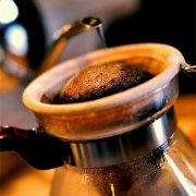 怎样的生豆才是优质的生豆?