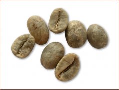 尼加拉瓜咖啡豆图片(Nicaragua)