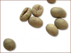 爪哇中粒咖啡豆图片(Java Robusta)