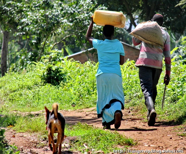 非洲咖啡文化:非洲咖啡故乡人嗜好嚼咖啡