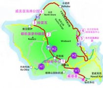 夏威夷科纳咖啡豆怎么样？和牙买加蓝山比谁更值得买