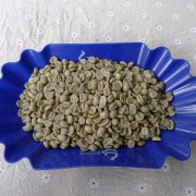 巴拿马凯萨露易斯庄园咖啡熟豆 水洗处理波奎特boquete产区咖啡豆