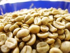 尼加拉瓜天意庄园水洗咖啡熟豆 米赛亚微批次咖啡豆 下单烘焙磨粉