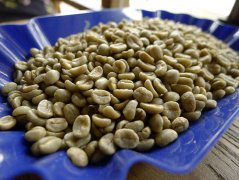哥斯达黎加钻石山庄园水洗卡杜拉咖啡豆什么风味？塔拉珠SHB精品豆解析