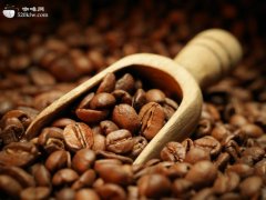 危地马拉咖啡豆品质为何被誉为世界最佳？产区风味与选购指南