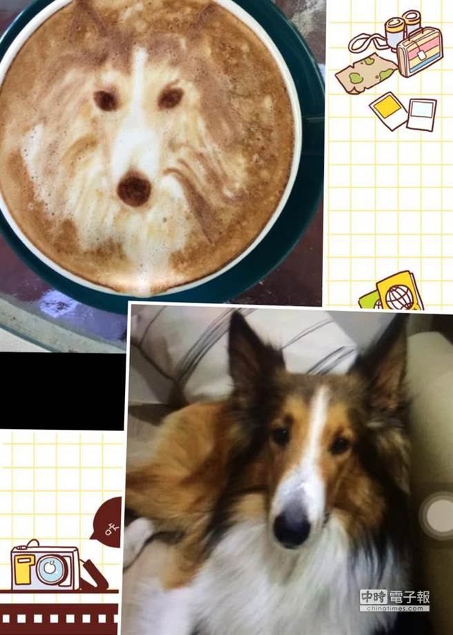 été café制作的喜乐蒂拉花，十分可爱。