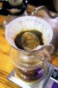 咖啡豆海拔越高风味越好吗？1700米耶加雪菲与百米罗布斯塔对比实测