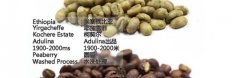 耶加雪菲圆豆是什么？柯契尔Peaberry风味与手冲建议