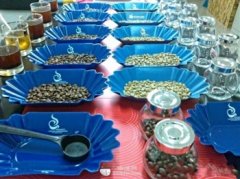 如何判断一支咖啡豆是否优质？读懂原产地与烘焙新鲜度两个关键