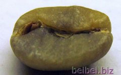 牙买加蓝山 Mavis Bank Grade 1 生豆怎么样？蓝山咖啡风味与产区条件一次讲清