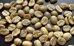 肯尼亚咖啡生豆 Kenya AA 是什么等级？一文看懂产区、海拔与分级