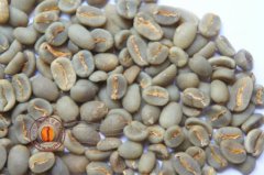 水洗曼特宁和普通曼特宁有什么区别？Gayo Mountain Grade 1 好在哪里