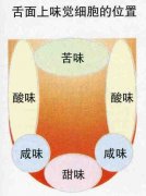 咖啡酸就是坏掉了吗？一文讲清咖啡的酸度Acidity与酸味的区别