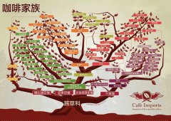 阿拉比卡咖啡豆品种有哪些？100%阿拉比卡真的重要吗
