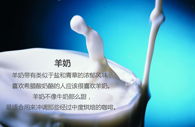 哪些奶制品是咖啡的忠实小伙伴?