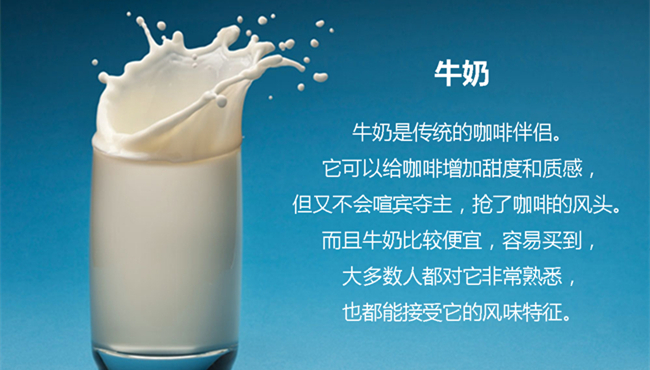 哪些奶制品是咖啡的忠实小伙伴?