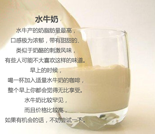哪些奶制品是咖啡的忠实小伙伴?